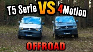 T5 4Motion VS T5 Transporter  OFFROAD  Lino [upl. by Otipaga]