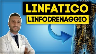 Il sistema linfatico e il linfodrenaggio [upl. by Ynar]