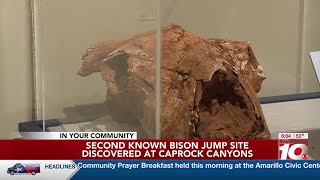 Second known bison jump site discovered at Caprock Canyons State Park [upl. by Oicafinob79]