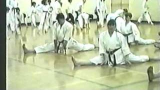 Zanshin Kai Glasgow Scotland Shotokan Karate exam [upl. by Nisen]