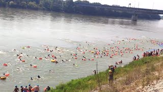 Bratislava plávanie cez Dunaj  Trans Danube Swim 2024 [upl. by Andrej589]