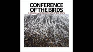 Conference Of The Birds – A Boxwalla Mix for Sounds Of The Dawn [upl. by Andris]