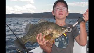 Copeton Dam Murray Cod Golden Perch Yellowbelly Redfin [upl. by Goar]