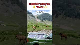 Kashmir Valley Ke Ghode 🧐🧐  shorts youtubeshorts ytshorts newshorts kashmirtourism vlog2024 [upl. by Winthrop443]