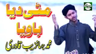 MITTI DEYA BAWIYA  MUHAMMAD JAHANZAIB QADRI  OFFICIAL HD VIDEO  HITECH ISLAMIC  BEAUTIFUL NAAT [upl. by Sheply533]