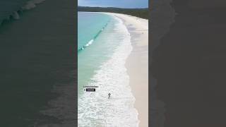 Summertime Hyams Beach Australia Most beautiful white sand beach sydney travel beach shorts nsw [upl. by Urdna]