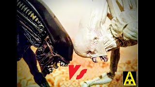 Alien protomorfo vs neomorfo Protomorph vs neomorph Xenomorfo vs neomorfo Xenomorph vs neomorph [upl. by Eldwen]