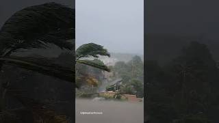 L’ouragan Beryl s’abat sur la Jamaïque [upl. by Aicats807]