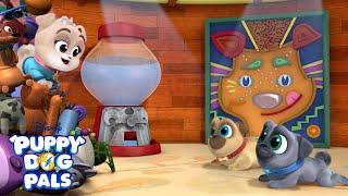 Show and Tell  Puppy Playcare  Puppy Dog Pals  Disney Junior [upl. by Tezzil]