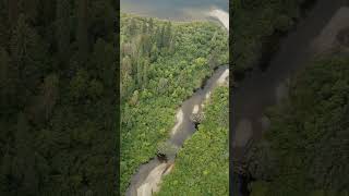 Upper McKinley confluence with McKinley Lk Aug 23 2023 [upl. by Shandra]