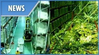 Incredible moment forklift driver causes an entire warehouse to collapse when he bumps into shelf [upl. by Kean]