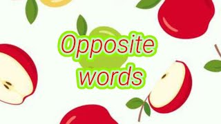 50 Opposite words for kindergarten  Opposite words for kidsDark  Light Up  Down  Big  Small [upl. by Aihsot]