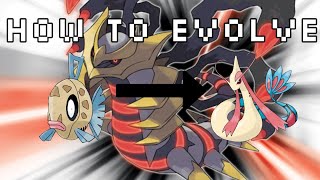 How To Evolve Feebas Into Milotic In Pokemon Diamond Pearl And Platinum Versions [upl. by Hemphill492]