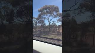 Waurn Ponds to Southern Cross VLine VLocity Train Journey 2024 windowview melbourne australia [upl. by Gilford]