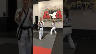 Shim Jun Segment 3 amp 4 Black Belt Form [upl. by Mohr411]