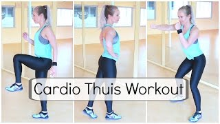 30 min Cardio Workout Afvallen Conditie en Vetverbranden [upl. by Thalia]