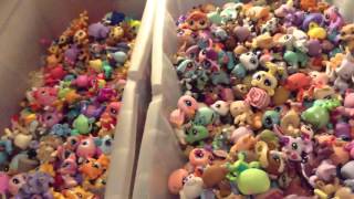 My Littlest Pet Shop Collection [upl. by Yraccaz486]