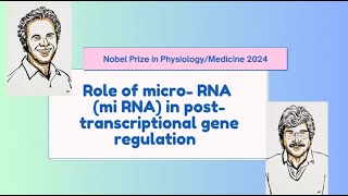 micro RNA Nobel prize in Medicine Physiology 2024 [upl. by Anirbas]