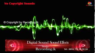 Digital Sound Sound Effects No Copyright [upl. by Nnylf249]