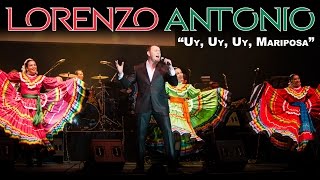 Lorenzo Antonio  quotUy Uy Uy Mariposaquot en vivo [upl. by Yleek]