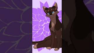 🤎🤍BriarlightBelle Églantine🤍🤎Warrior CatsLa Guerre des Clanswarriorcats laguerredesclans [upl. by Dylane]