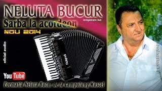 NELUTA BUCUR  Sarba la acordeon 1 live audio [upl. by Adroj]