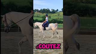 quotIL FAUT ÊTRE MEILLEUR QUHIERquot Qui a vu le documentaire dinox  🤩 cheval kaizen poney [upl. by Aneerb]