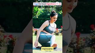 The Best Yoga Stretches for Beginners viralshorts yoga [upl. by Eilra159]