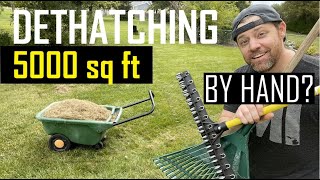 Dethatching by Hand  Things to consider and tips to follow using dethatching rake only [upl. by Dinesh]