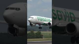 Landing Transavia B737 at Brussels Airport aviation planespotting [upl. by Arratahs598]