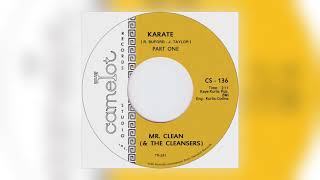 01 Mr Clean and the Cleansers  Karate Pt 1 Tramp Records [upl. by Elahcar892]