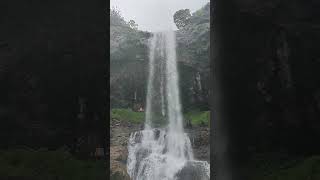 Kamshet waterfall pune maharashtra topest shorts travel nature food foodie [upl. by Mori]