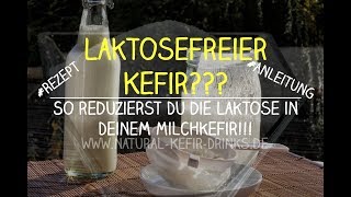 Laktosefreier Kefir So reduzierst Du die Laktose in Deinem Milchkefir Einfaches Rezept [upl. by Roye]