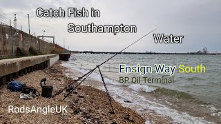 Catch Fish in Southampton Water ENSIGN WAY South [upl. by Latsryc105]