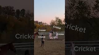 My bestie on Cricket [upl. by Fidelas]