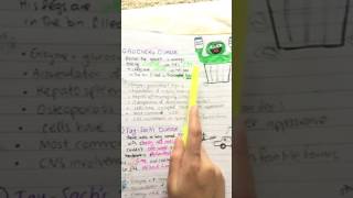 Lysosomal Storage Diseases Sphingolipidoses MADE EASY with mnemonics [upl. by Nasya]