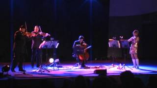 the balanescu quartet plays kraftwerk [upl. by Daphie]