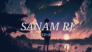 Sanam Re song slowed reverb lofi [upl. by Suryc889]