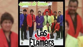 Los Flamers  Me Vas A Recordar Visualizador Oficial [upl. by Eniawd]