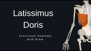 Latissimus Dorsi [upl. by Colette456]