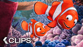 FINDING NEMO All Movie Clips 2003 [upl. by Winnifred]