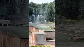 Amrit Udyan musical garden  Rashtrapati Bhavan Delhishortsyoutubeshorts [upl. by Ennaed]