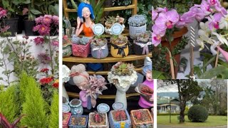 Shillong Floral Fest 2024🌷🪴  Full tour at All Saint’s Hall [upl. by Mellie]