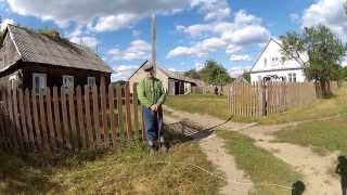 Puszcza Białowieska  Wycieczka na granicę polskobiałoruską [upl. by Rednav]