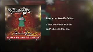 Banda Pequeños Musical – Reencuentro En Vivo AUDIO [upl. by Killy]