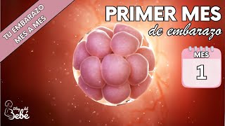 ❤️ Primer mes de embarazo 🤰 Síntomas consejos y desarrollo del bebé  El embarazo mes a mes [upl. by Nathalie350]