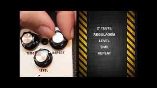 Giannini Axcess Pedal Delay DL103 Review [upl. by Arakahs]