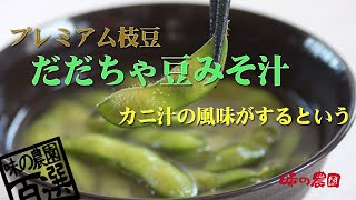 だだちゃ豆みそ汁の作り方 [upl. by Arah]