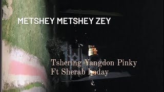 Mitshey mitshey by Tshering Yangdon Pinky ft Sherab LodayHinglay Ra I love you ❤️ [upl. by Fesuy]