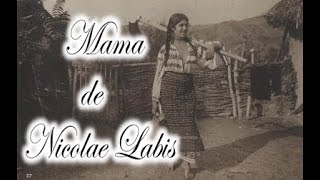 Mama de Nicolae Labis  Poezie Audio [upl. by Jack]